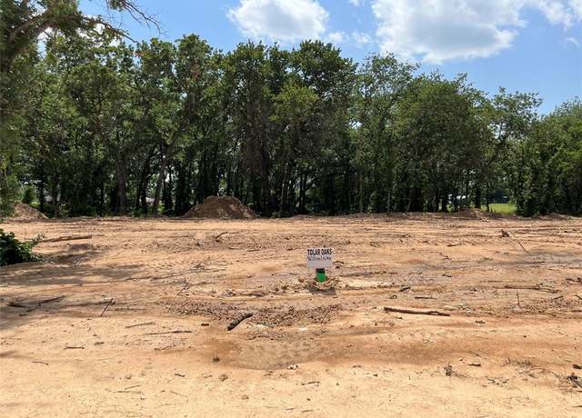 Property at 465 Peace Lily Way, Tolar, TX 76476