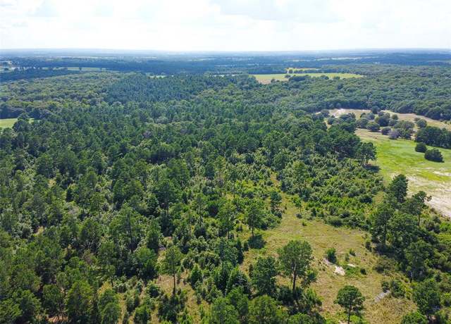Property at TBD VZ CR 4702, Ben Wheeler, TX 75754