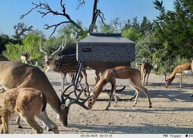 Property at 267 CR 112, Goldthwaite, TX 76844