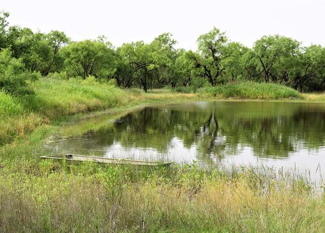 Property at 351 County Road 126, Coleman, TX 76834