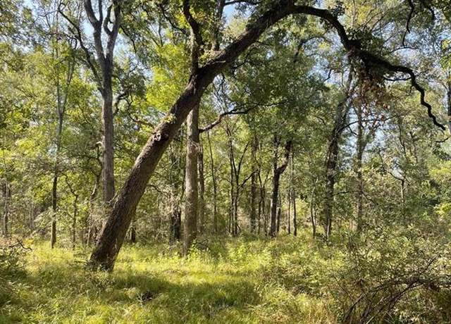 Property at 00 TBD 828 Lcr 828, Groesbeck, TX 76642