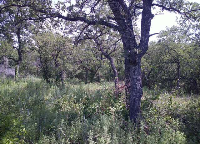 Property at 33 AC N Mason, Perrin, TX 76486