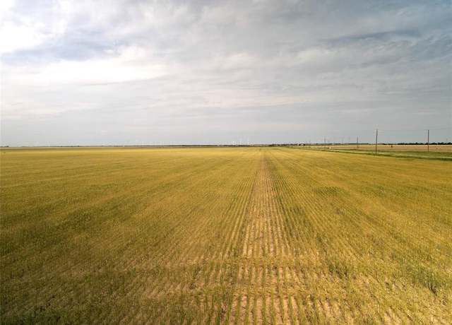 Property at 338 Acres FM 617, No City, TX 79521
