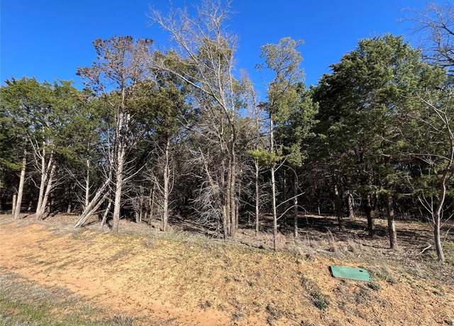 Property at Lot 33 Palisades, Gordonville, TX 76245