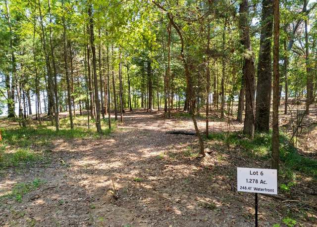 Property at TBD Private Rd 52447, Leesburg, TX 75451