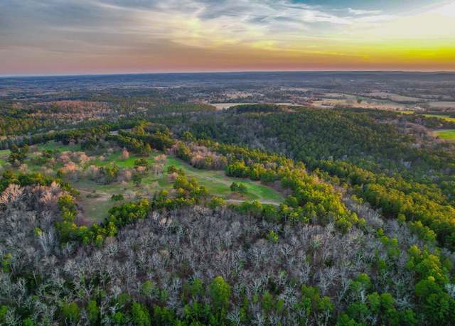 Property at TBD CR 4225, Frankston, TX 75763