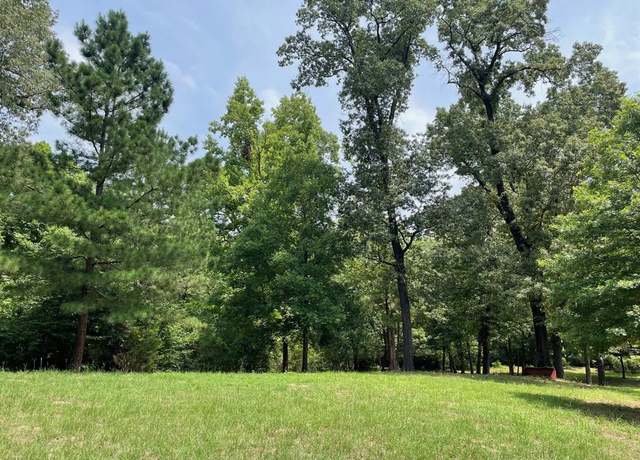 Property at TBD Farm Market 557, Pittsburg, TX 75686