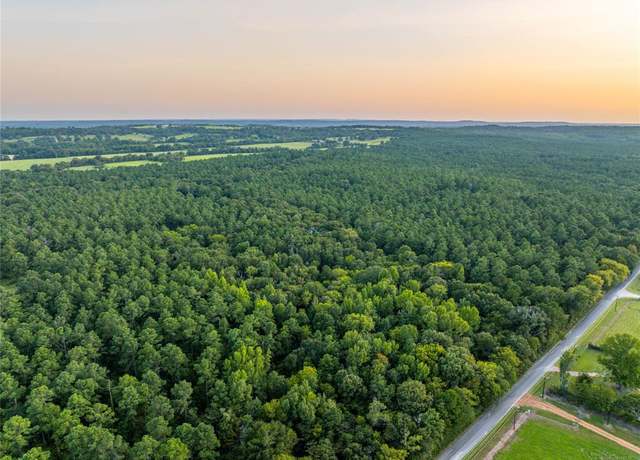 Property at Tract 10 County Road 4222, Frankston, TX 75763