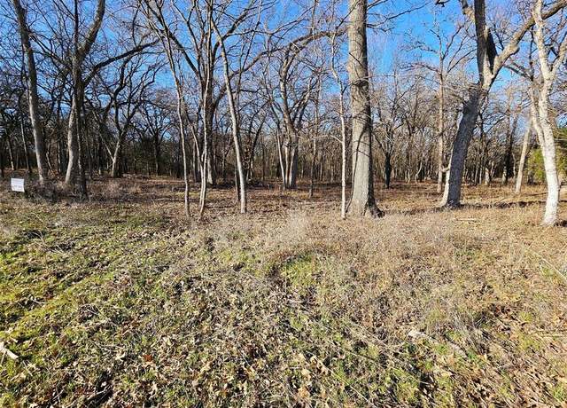 Property at Lot 221 Banjo Ct, Alvord, TX 76225