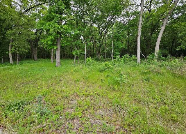 Property at Lot 221 Banjo Ct, Alvord, TX 76225