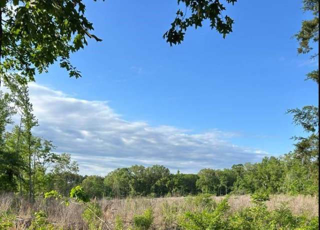 Property at 00 Grand Cane Fire Tower Rd, Grand Cane, LA 71032