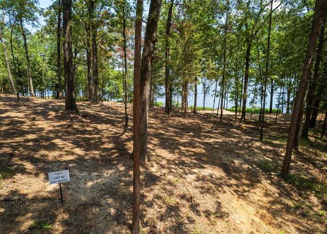 Property at TBD Pr Rd52447, Leesburg, TX 75451