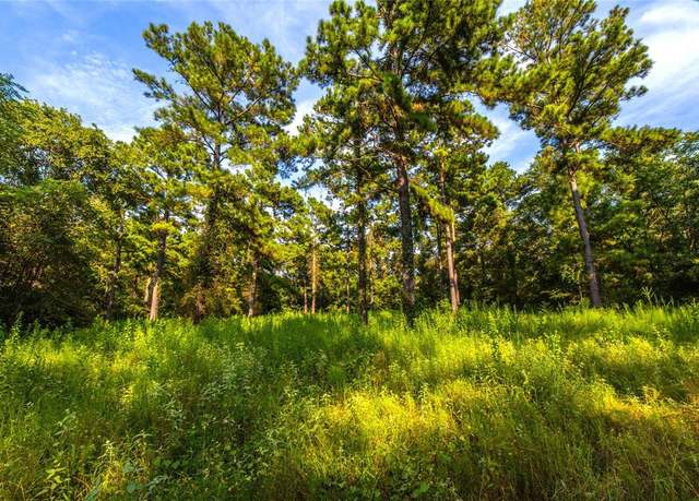 Property at Tract 11 County Road 4222, Frankston, TX 75763