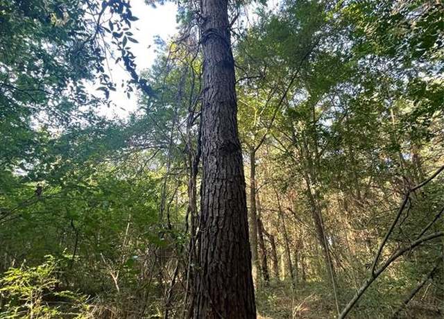 Property at TBD FM 44 E, De Kalb, TX 75559