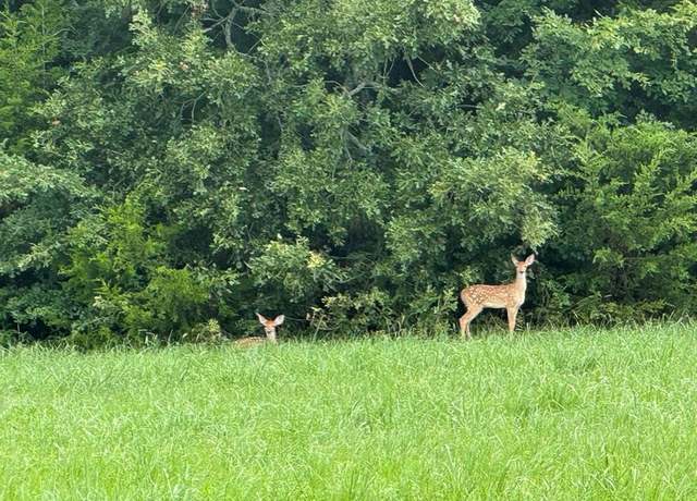 Property at Lot 55 Spout Springs Rd, Pottsboro, TX 75076