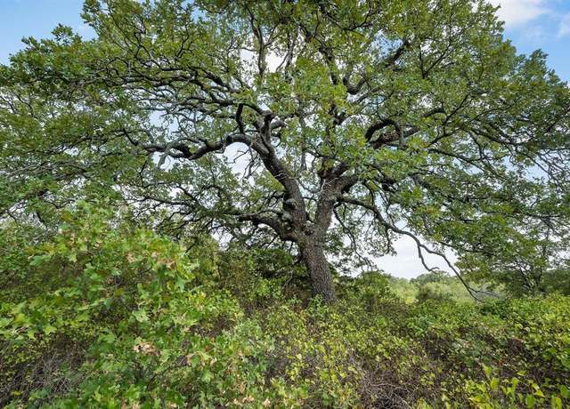 Property at Lot 16 Double B Ranch Rd S, Perrin, TX 76486