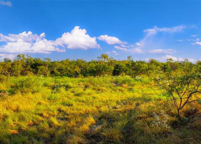 Property at 130 Mountain Dr, Graford, TX 76449
