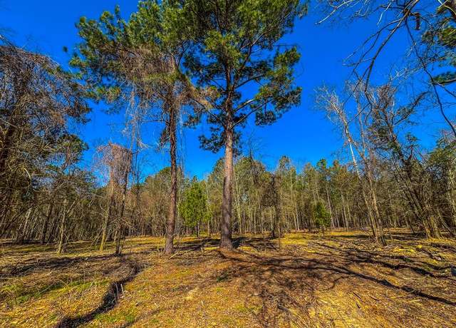 Property at Tract 4 County Road 1713, Jacksonville, TX 75766