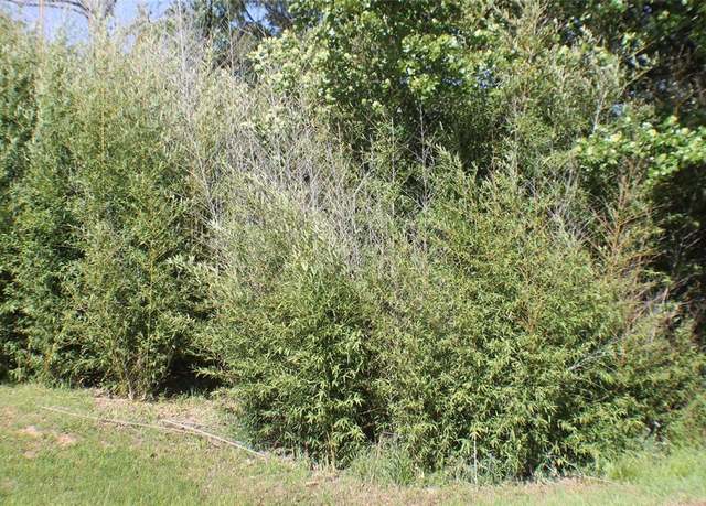 Property at 1004 Owhyhe Rd, Tool, TX 75143