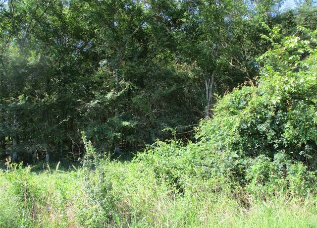 Property at TBD RS County Road 3220, Emory, TX 75440