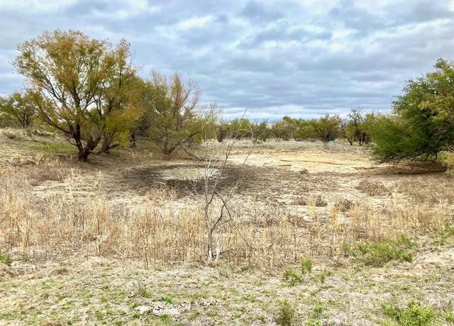 Property at 25AC Tract 1 Hwy 6, Moran, TX 76464