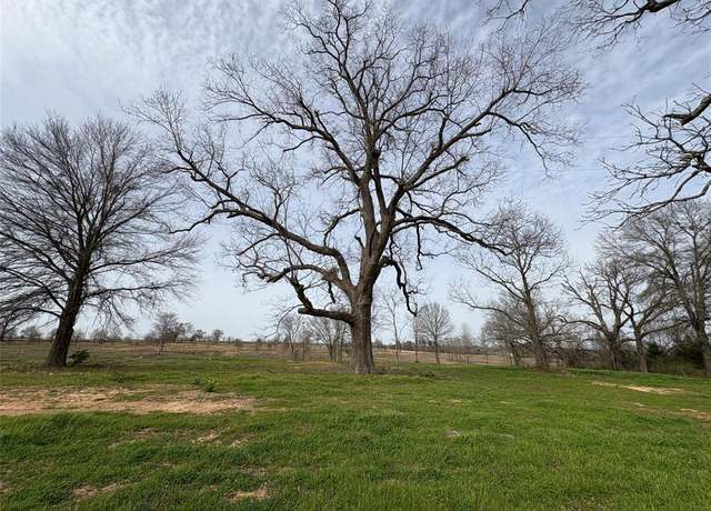 Property at TBD County Road 2425 Unit Tract 0, Como, TX 75431