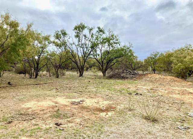 Property at 25AC Tract 2 Hwy 6, Moran, TX 76464