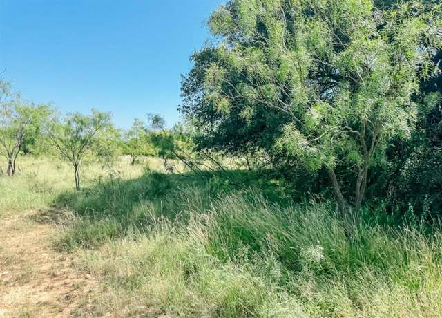 Property at Lot 4 Morris Sheppard Dr, Brownwood, TX 76801