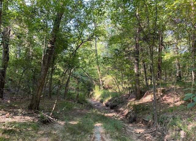Property at TR 4 CR 41514, Athens, TX 75751
