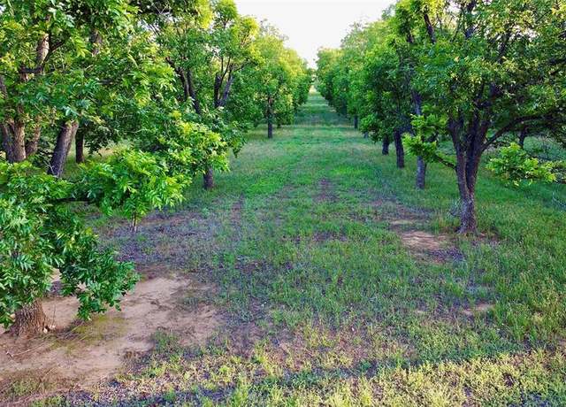 Property at TBD 3 FM 2318, Comanche, TX 76442