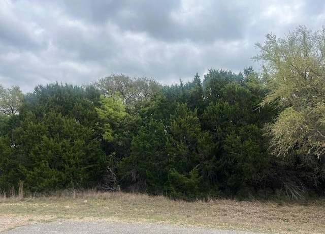 Property at 10019 Ridgeway Ct, Whitney, TX 76692