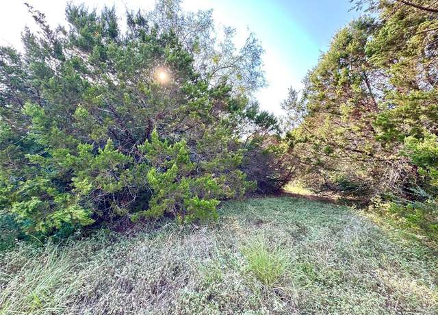 Property at 45001 Fringewood Dr, Whitney, TX 76692