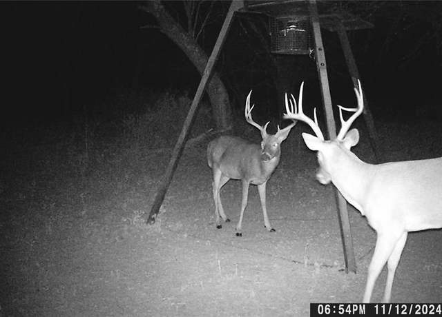 Property at 000000 CR 267, Early, TX 76802