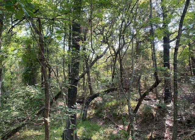 Property at TR 3 CR 41514, Athens, TX 75751