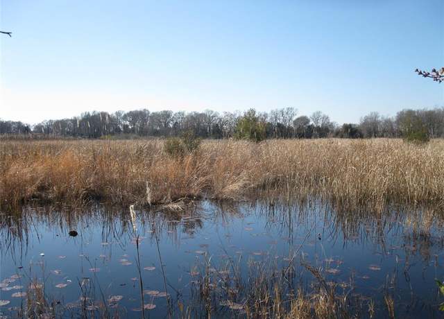 Property at TBD 133 AC +- VZ County Road 4701, Ben Wheeler, TX 75754