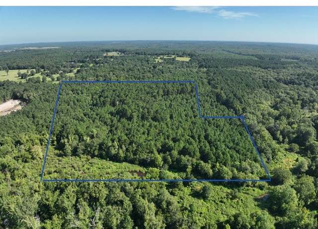 Property at 0000 Country Road 2756, Bivins, TX 75555
