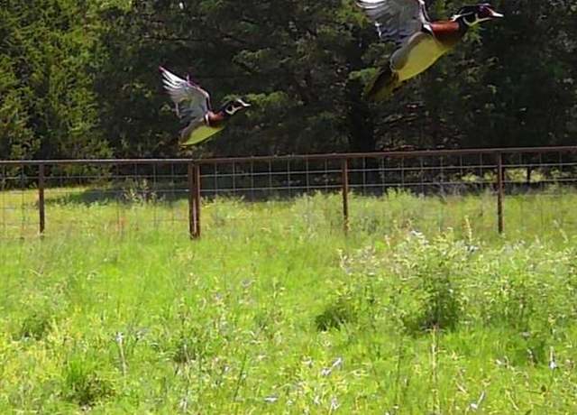 Property at 58 Acres 305 Stuckey, Gordonville, TX 76245