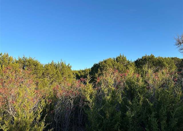 Property at Lot 659R Canyon Wren Loop, Graford, TX 76449