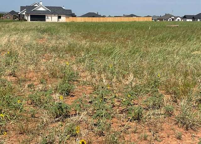 Property at 125 Sparrow Hills Ln, Tuscola, TX 79562