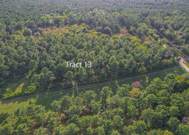 Property at Tract 13 County Road 4224, Frankston, TX 75763