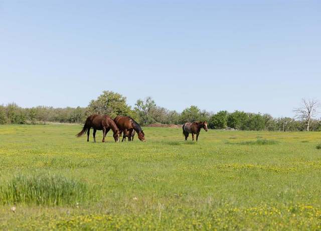 Property at 1346b Prairie Grove Rd, Valley View, TX 76272