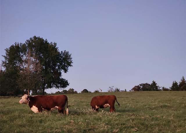 Property at 603 US Highway 59 S, Linden, TX 75563