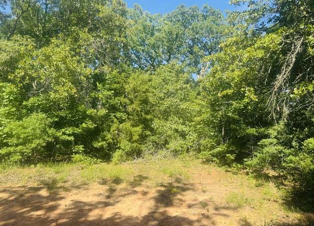 Property at 000 PR 45611, Blossom, TX 75416