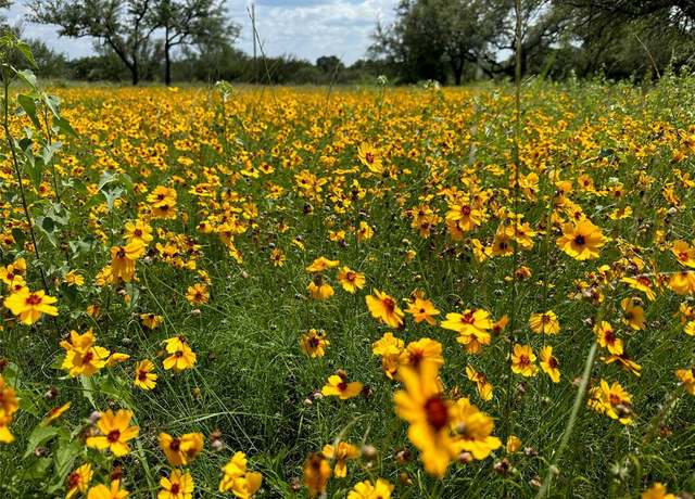 Property at TBD1018 Lake Breeze Dr, Brownwood, TX 76801