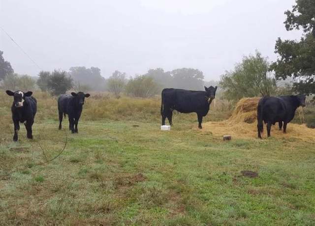 Property at 1856 Co Rd 330 Lot 1, Eastland, TX 76448