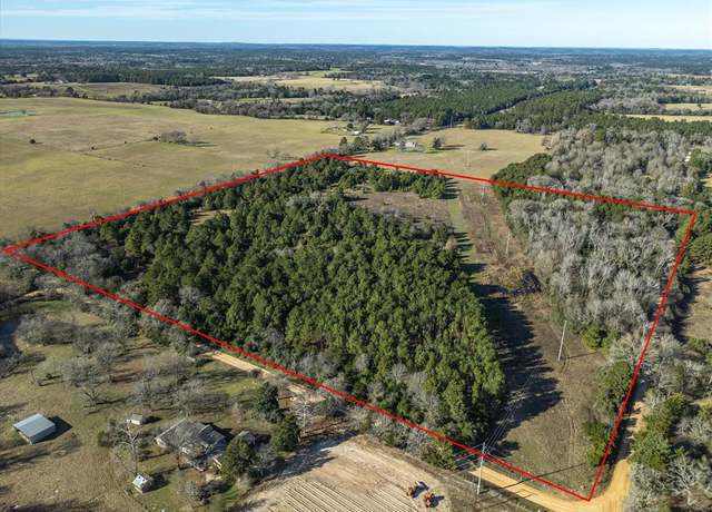 Property at TBD County Road 1890, Grapeland, TX 75844