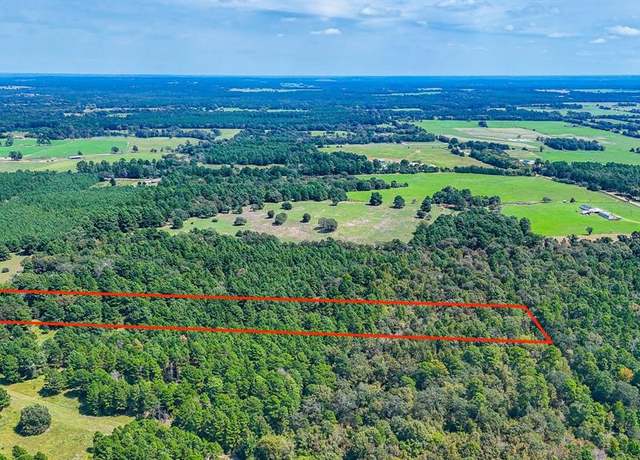Property at TBD Tx-19, Grapeland, TX 75844