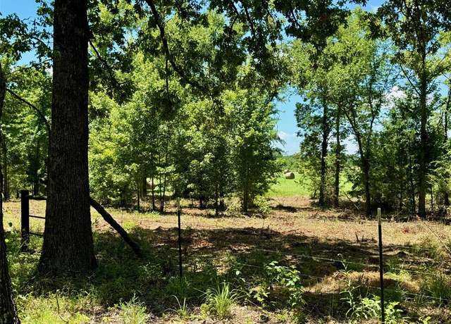 Property at TBD County Road 4230, Mount Pleasant, TX 75455