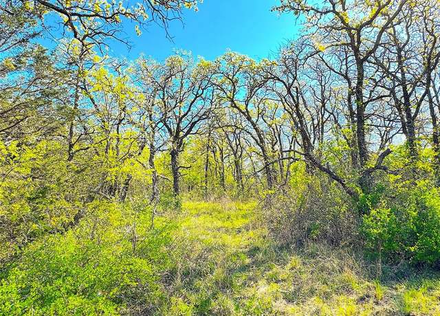 Property at 7885 Old Agnes Rd, Poolville, TX 76487
