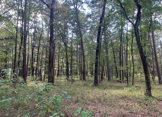 Property at 00 Bob White Loop, Doyline, LA 71023